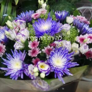 סגול חי